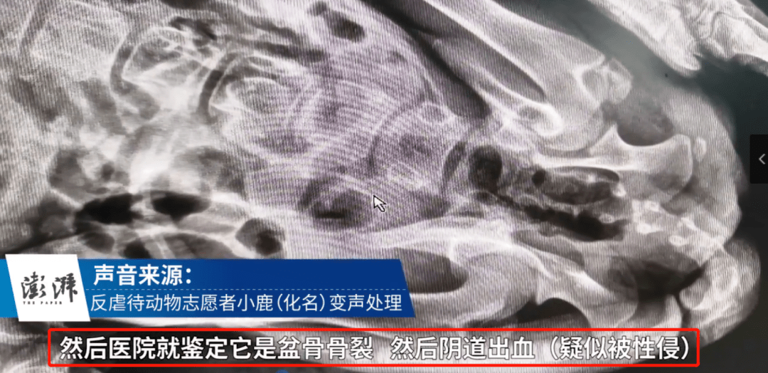 什么叫毛鳞片视频 5e57f778014e42a882b0b39e1434e757.png