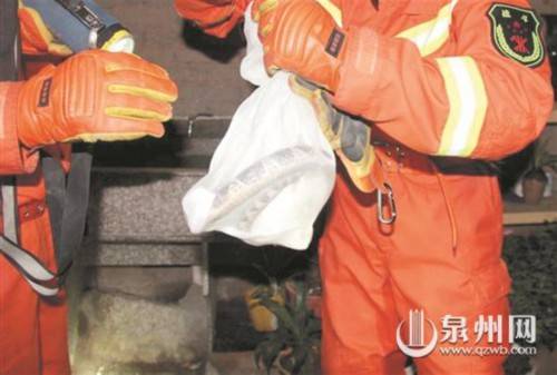 报警|半夜进屋“纳凉” 毒蛇惊了一家人