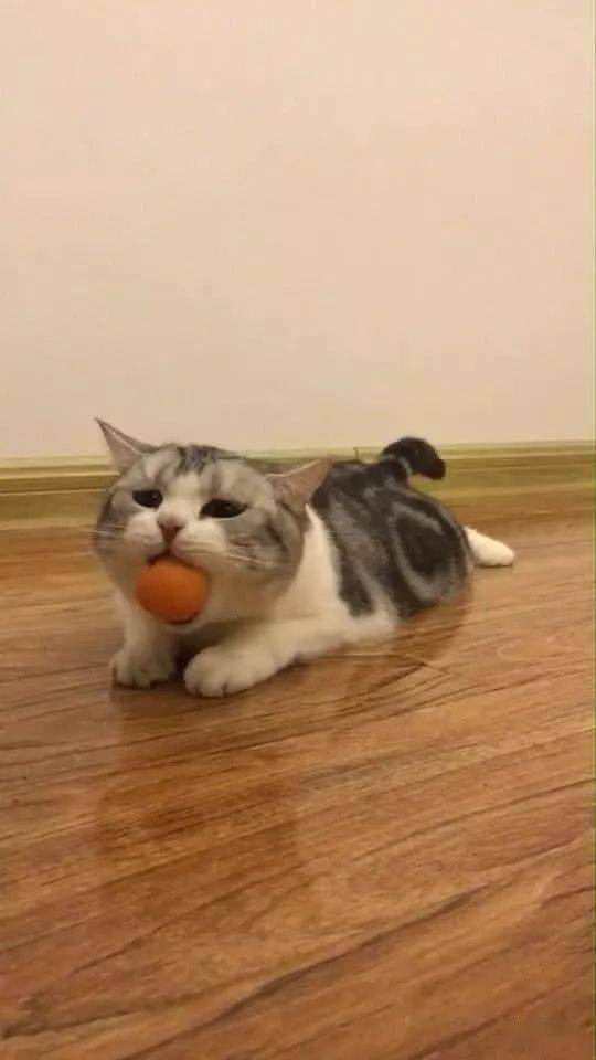 c14ba14aa0fb49d2bdd4c24789d7d440.jpeg