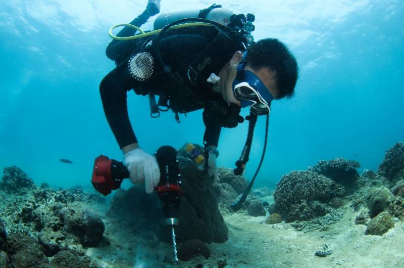 海域|中国首个热带海洋牧场雏形初现，组图揭秘如何在海底放牧养殖