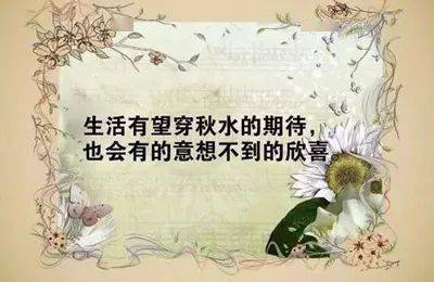 f8acc23447384ddb8d506850ed7c8f80.jpeg