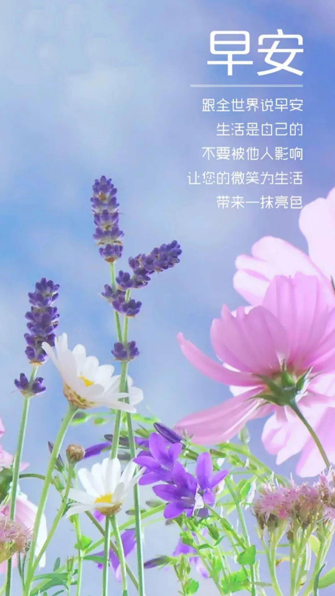 早安,晨曲!