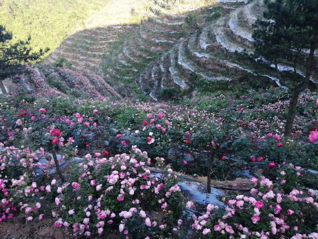 宝庆风情龙瑶幽谷露营迷失花灵谷