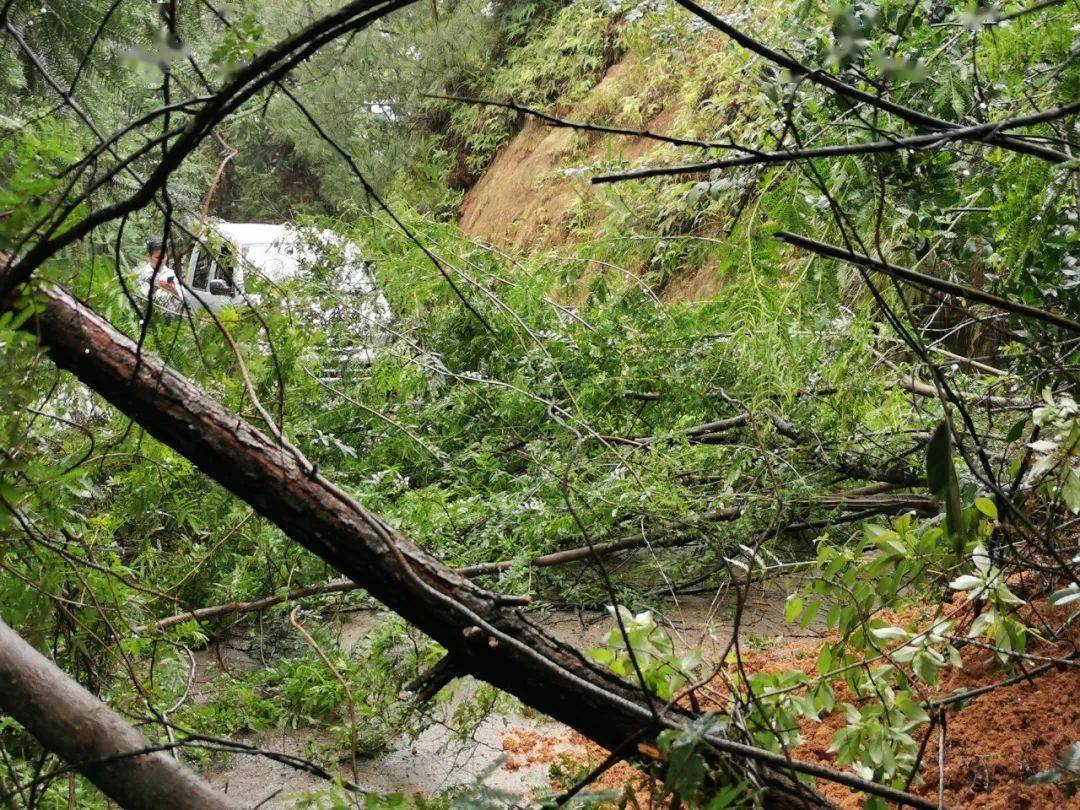 安远风山多少人口_安远镇岗风山景区