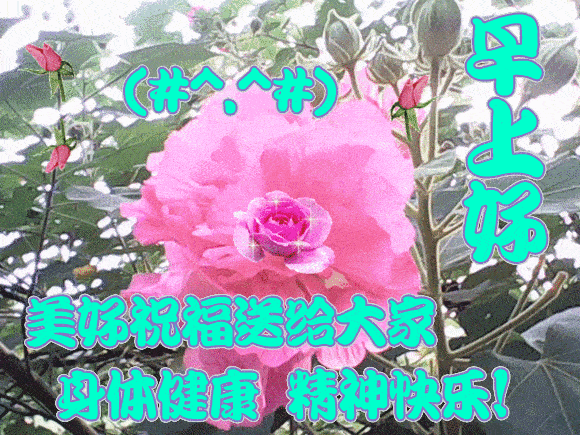 执着你的毅力,你就创造奇迹,但愿每天都得意,早安祝福