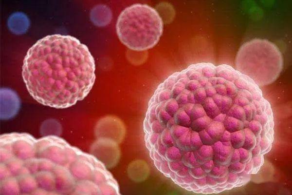 免疫球蛋白的作用与功效有哪些 ebbfed1574dc4ccb9fb042c1ff63a518.jpeg