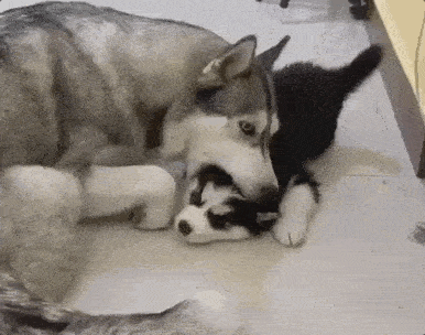 随时得提防爸爸虎口食子 承受着这个年纪不该承受的压力.