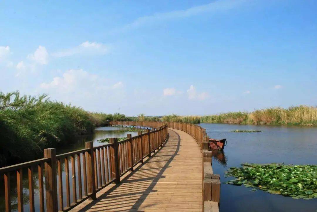 五甲塘生态湿地公园 五甲塘湿地公园距离市区较近,很多市民都喜欢来