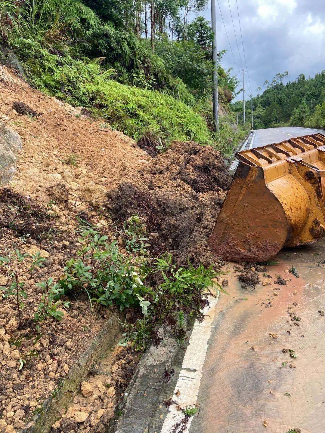 大机子村 370fed6c42394c438d6310d35bf80c73.jpeg