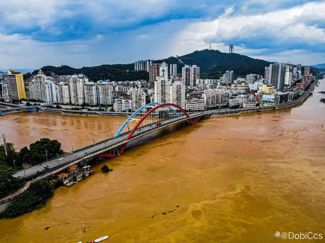 梧州洪水上央视了,真的要火遍全国啦!