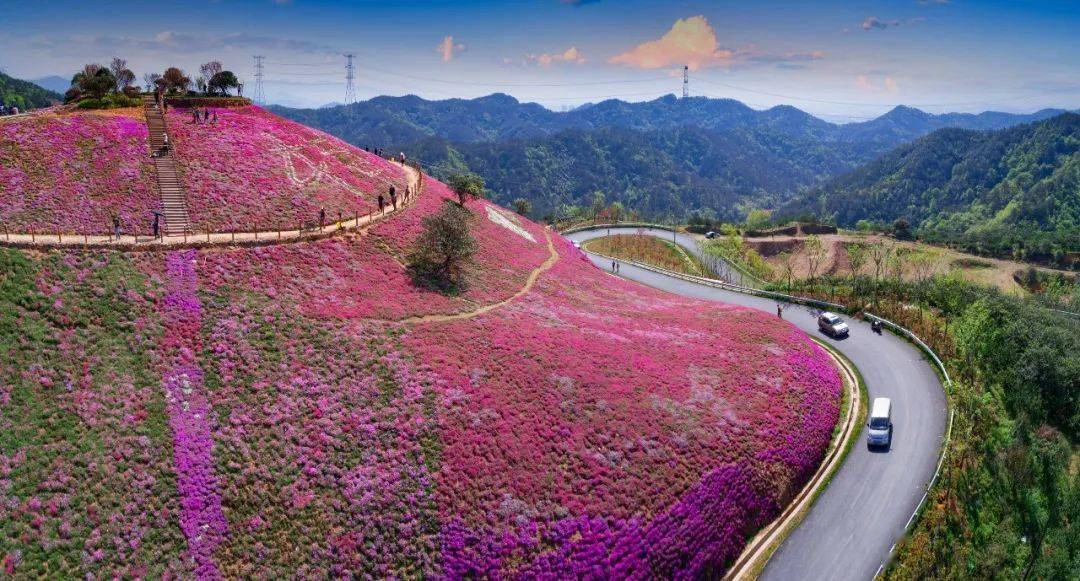 曹宅镇gdp_中国gdp增长图(2)