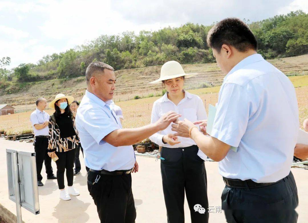 云投集团党委委员总裁助理张露松到云投林纸调研指导工作