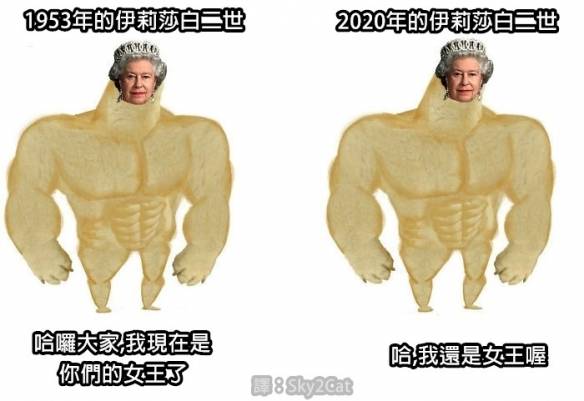 肌肉柴犬与小废柴梗图走红 爆笑内容引网友疯狂流传