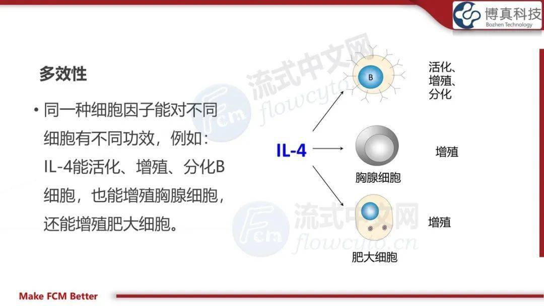 ee9a0d7853f44b4a9d054ec129800cc7.jpeg