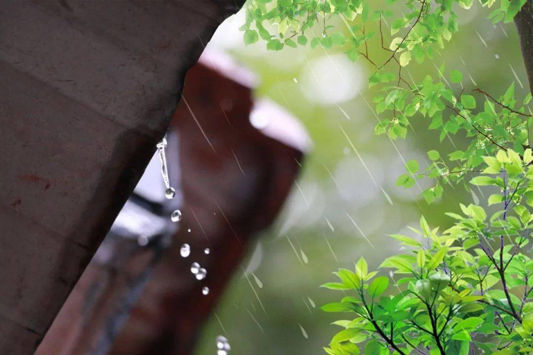 fcc310d4510b4097bb26092c400d399c.jpeg