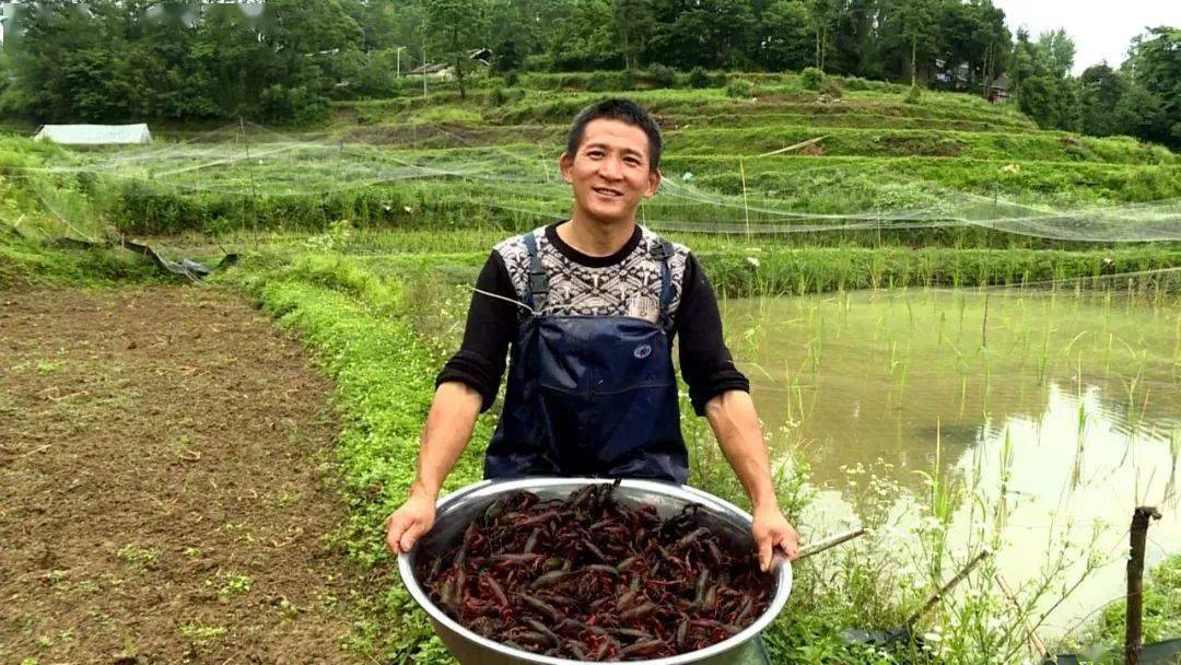 金元宝水塘猜成语_金元宝简笔画