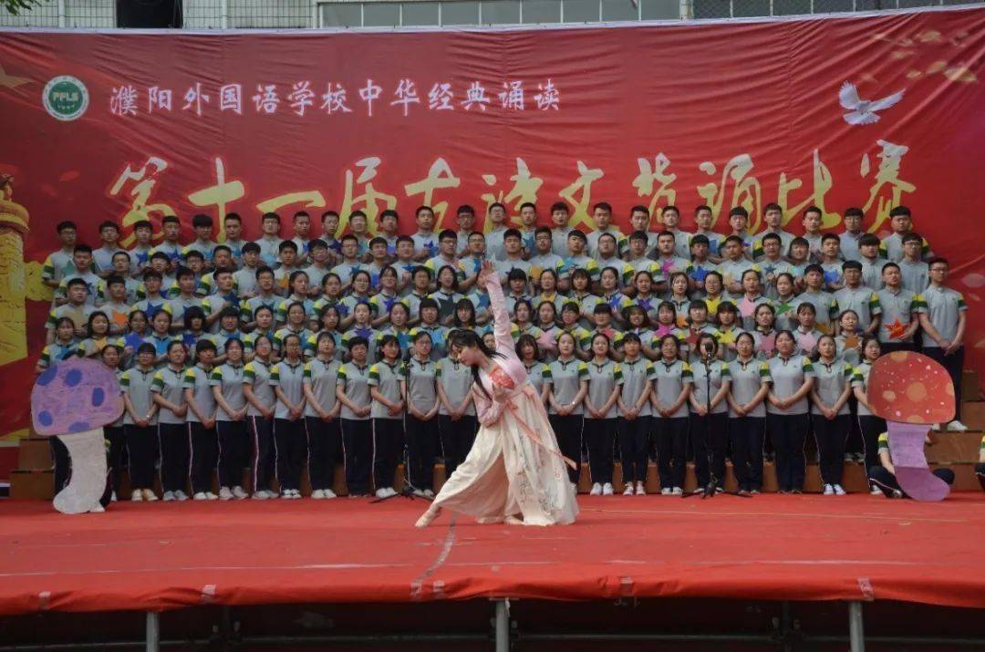 濮阳外国语学校最新招生政策出炉,速看!