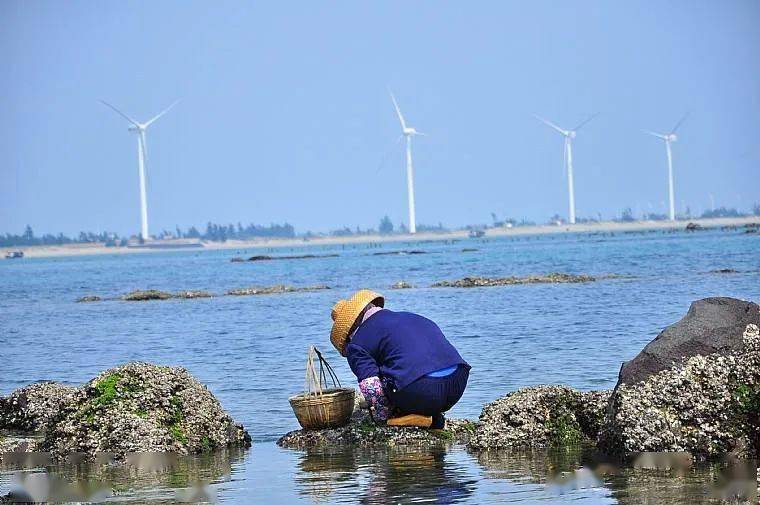 白茅海位于湛江徐闻县东北部,因白茅村而得名,三面环海,海岸线较长