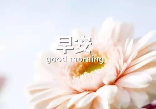 平常心的歌 4c267985aacd4e23a7e7fdb2615e88fb.jpeg