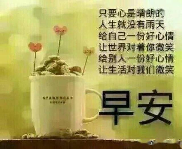 心是晴的,所见都是阳光;心是善的,所遇都是好人,早安