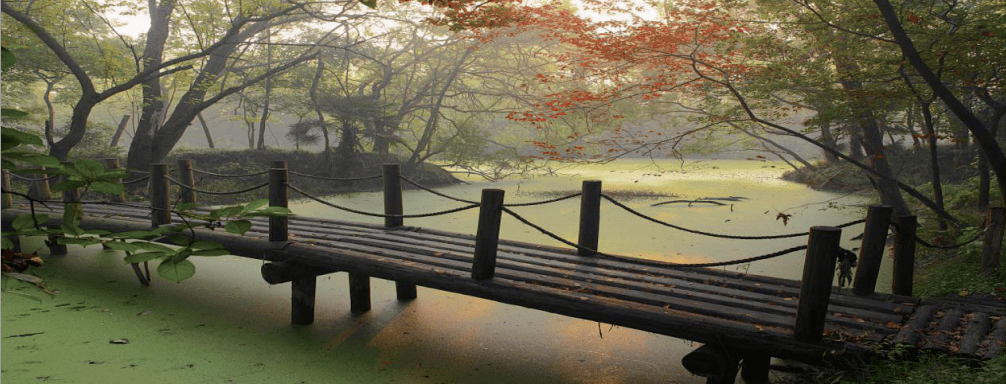 【园林桥景】此岸到彼岸的艺术鉴赏之旅