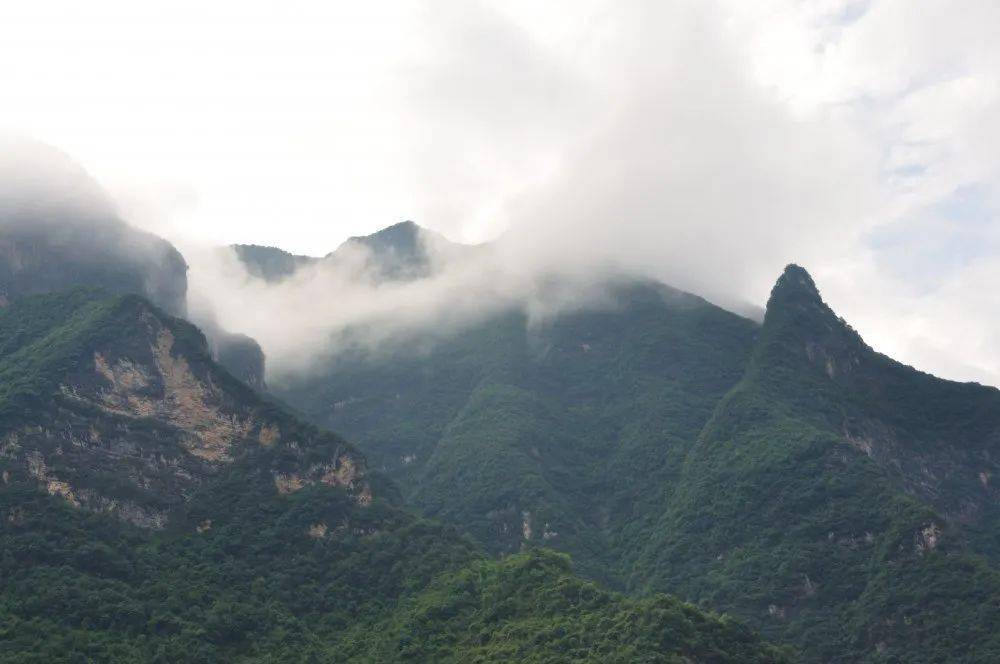 奉节县城人口_刚刚,朋友圈被一个旅居新加坡的奉节人写的情书刷爆了...