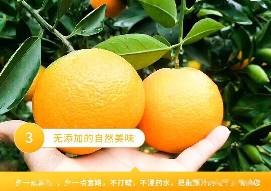 b07bedec25d94515bedd58ef66dcfb58.jpeg
