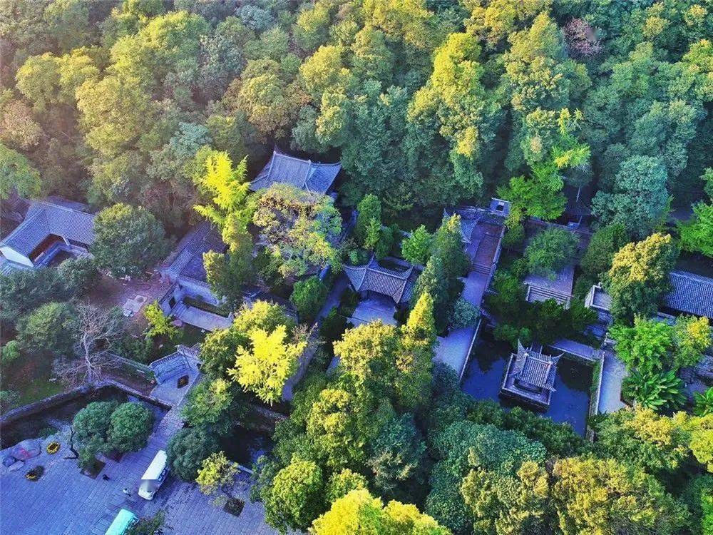 琅琊山风景区管理委员会 2020年6月11日