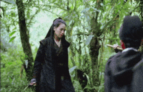 刺客在青山间行走,在树林间打斗,刀光剑影都是一瞥.