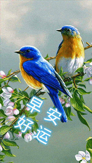 生活有苦有甜,才叫完整;爱情有闹有和,才叫情趣,早安