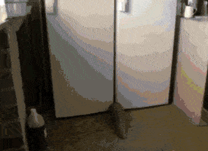 298_216