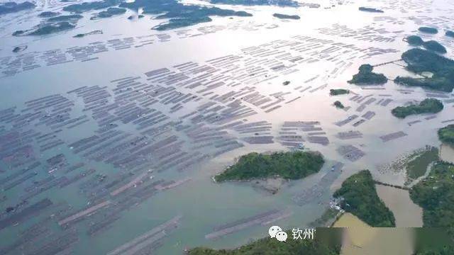 龙门县人口数_龙门县地图