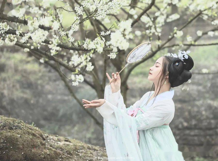 三生石上一滴泪