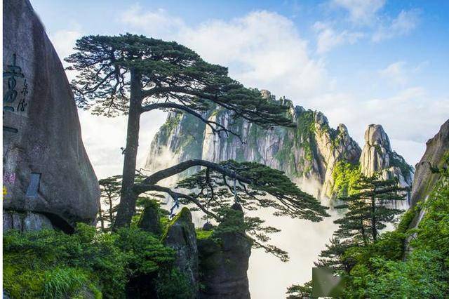 可以用什么形容词形容黄山 e4bb2e773a004370a636158e53798059.jpeg