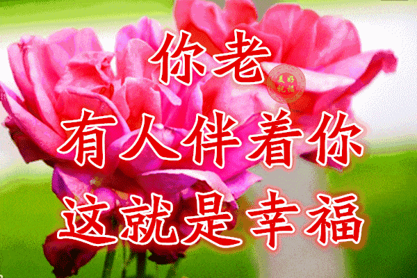 美丽的一天从清晨开始,祝福好朋友这个早晨高兴一点,早晨好