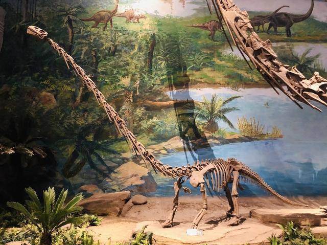 四川自贡2020gdp_四川自贡图片(3)