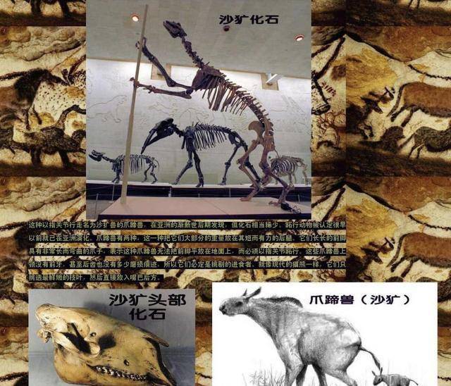 这3大“恐怖生物”，并非是来自于自然界，或是杂交实验所致？