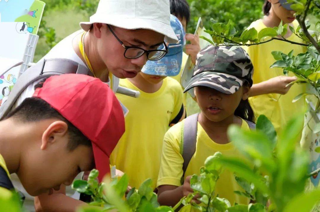 夏令营招募探索自然海洋环保生存体验解锁奇趣的世界做闪耀的少年