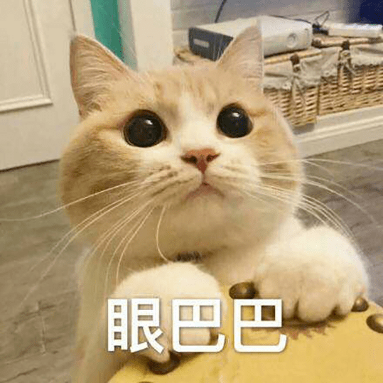 猫咪来教你:如何跟男朋友撒娇!_表情