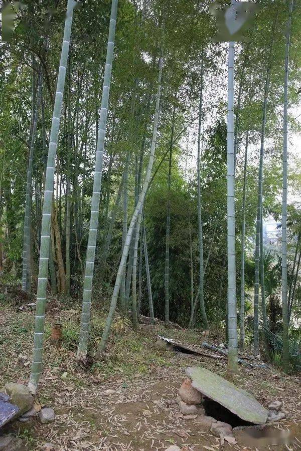 钱纸怎么用