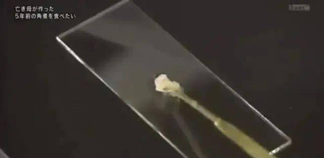 炖肉|女儿把她做的最后一道菜冻进冰箱五年。如今她重温了这个味道母亲突然去世
