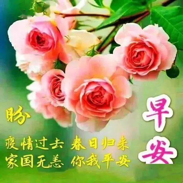 9张早晨问候祝福图片唯美温馨带字,清晨早安问候祝福语