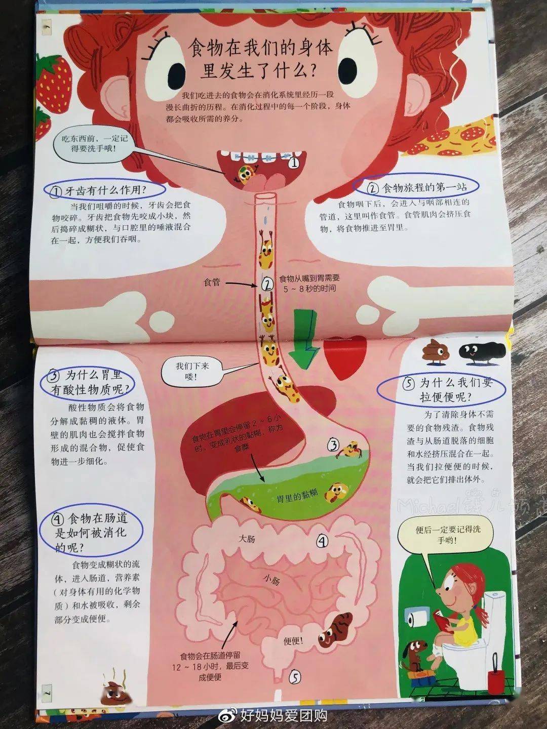 有逻辑的联起来 以《我的身体很特别》这本书为例 讲到消化系统的时候