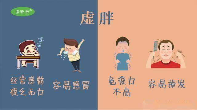 有些肥胖的人看上去力气大,其实身体虚弱无力,也就是我们常说的