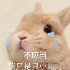 兔子怎么喂不饱 b5f2c2c3af894188873f4c097fae7d65.jpeg