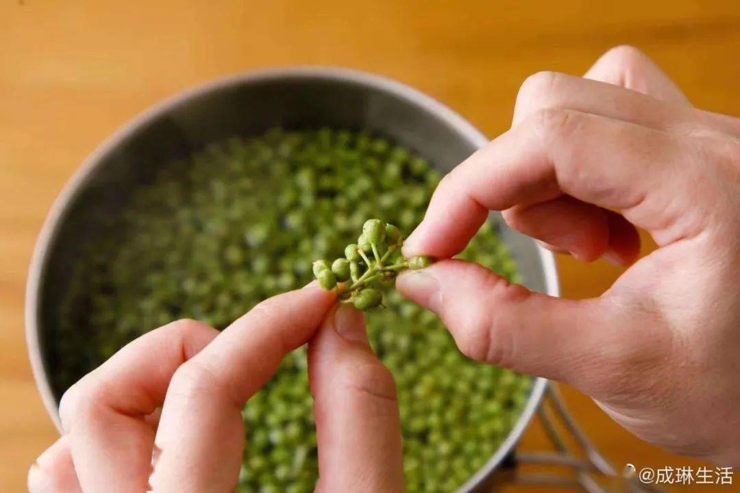 山椒是什么 1d0639771b6b4fabbd5e4a42f650a716.jpeg