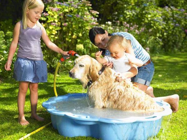 什么是动物产品 3e27cfa58ca143129bbe280b79c1668a.jpeg