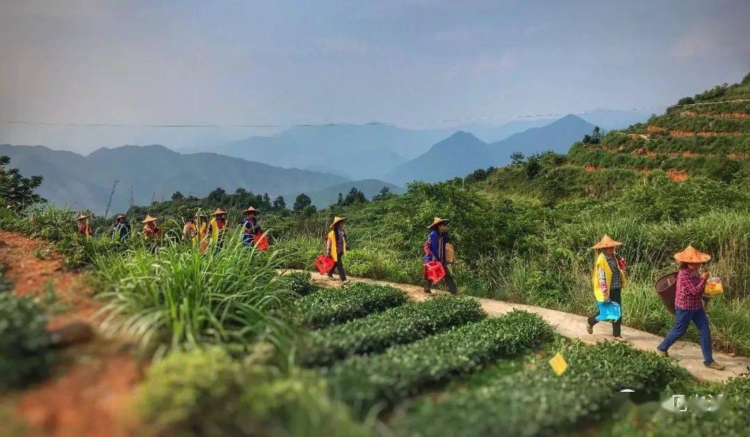 咱厝人口号_计划生育标语雷人口号