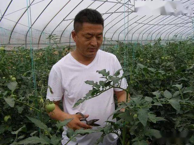 乾县多少人口_乾县豆腐脑(2)