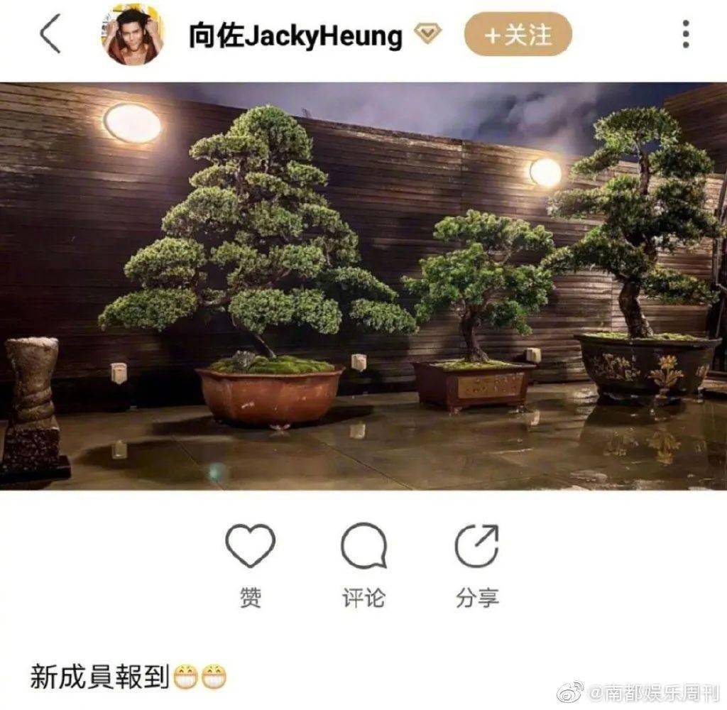 这回怀孕实锤了吧？之前老公暗示婆婆否认又是什么操作…